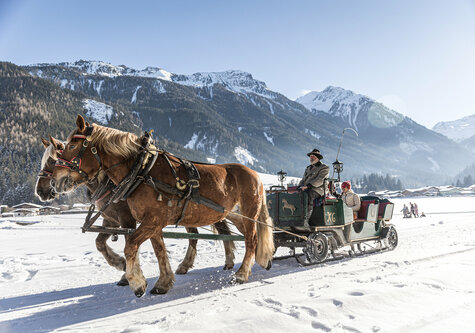 Eine Pferdekutsche fährt durch den Schnee
