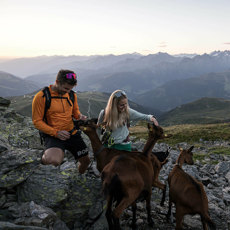 Ein Mann und eine Frau streicheln liebevoll Ziegen inmitten der Natur
