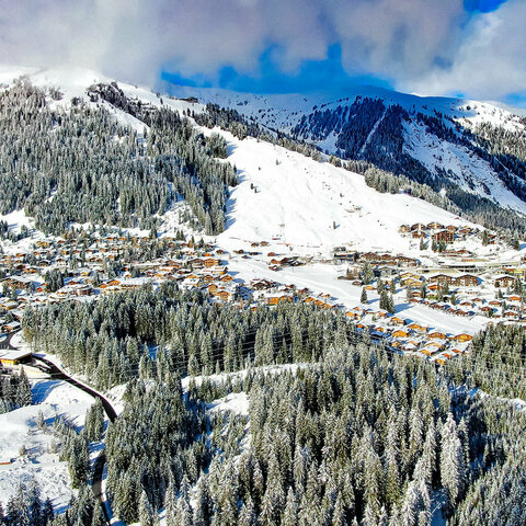 Blick auf eine traumhafte Winterlandschaft mit schneebedeckten Bäumen und einem klaren blauen Himmel