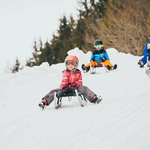 Rodler fahren die Strecke hinunter