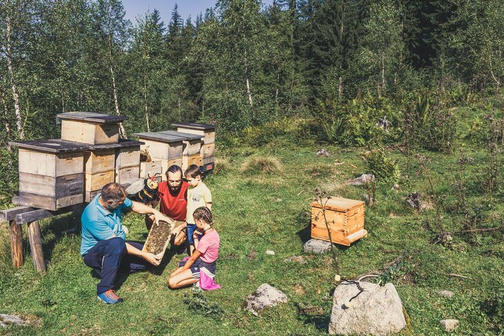 Zwei Männer und zwei Kinder schauen sich einen Bienenstock an
