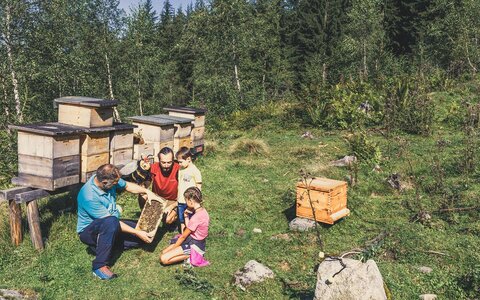 Kinderprogramm Wald-Königsleiten