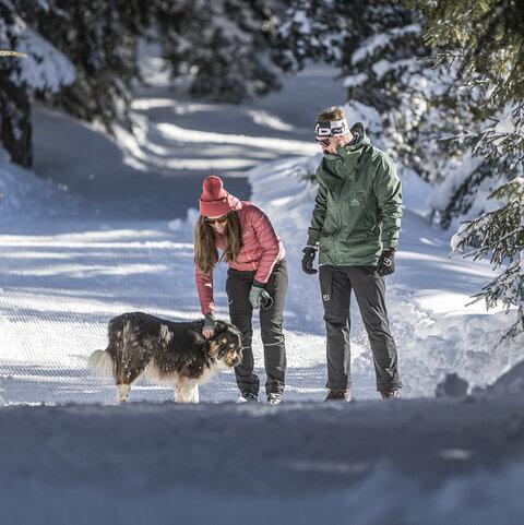 Ein Mann und eine Frau streicheln einen Hund