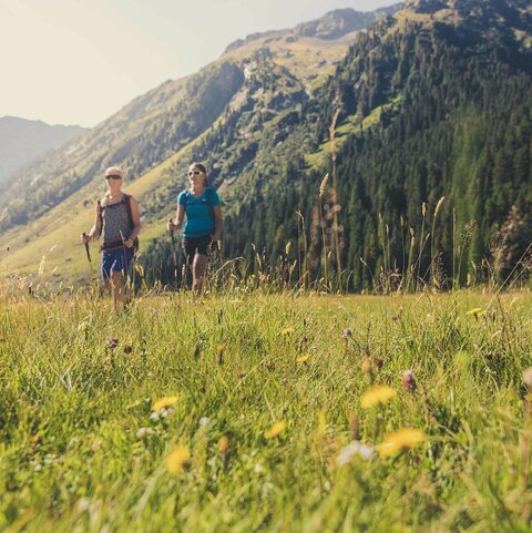 Zwei Frauen wandern in der Natur