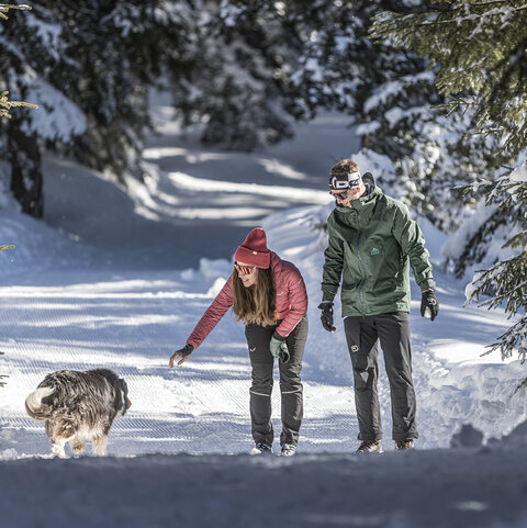 Winterwandelen Ein Mann und eine Frau machen einen Spaziergang durch den Schnee und begegnen einem Hund
