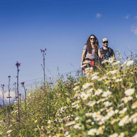 Actie- en kinderprogramma’s Ein Mann und eine Frau wandern in der Natur