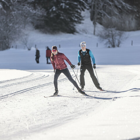 Zwei Langläufer auf einer verschneiten, sonnigen Strecke