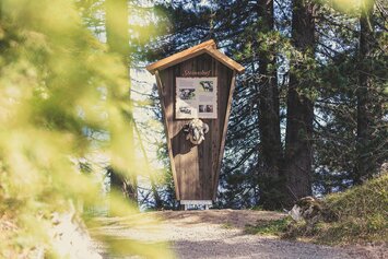 Im Wald steht eine Infotafel über das Steinschaf.