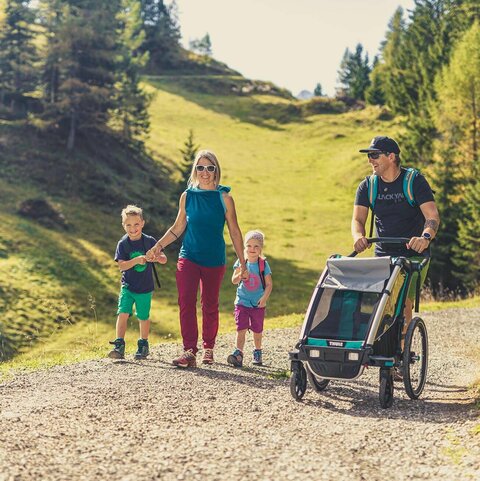 Ein Mann und eine Frau wandern mit ihren zwei kleinen Kindern durchs Almparadies.