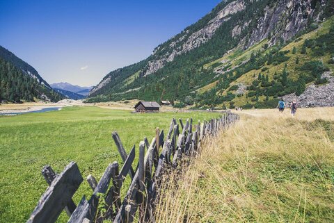 Blick auf eine grüne Wiese und eine traumhafte Bergkulisse