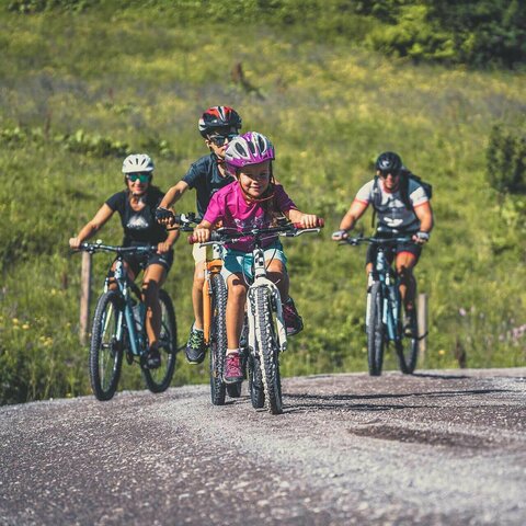 Eine Familie radelt durch die Landschaft.