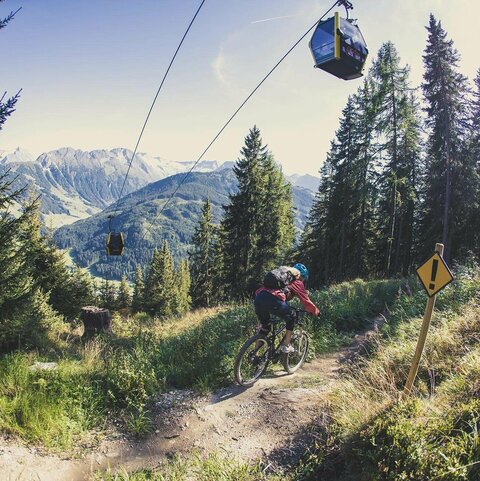 Eine Mountainbikerin fährt auf einem Singletrail durch den Wald