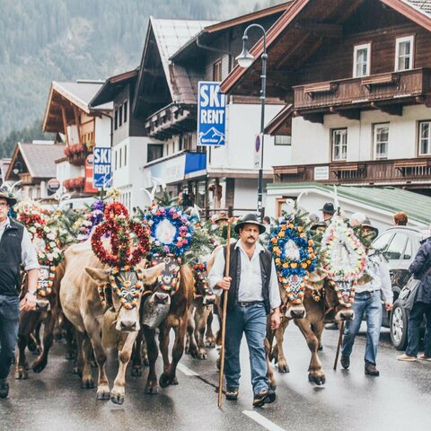 Der Almabtrieb zieht durch die Straßen