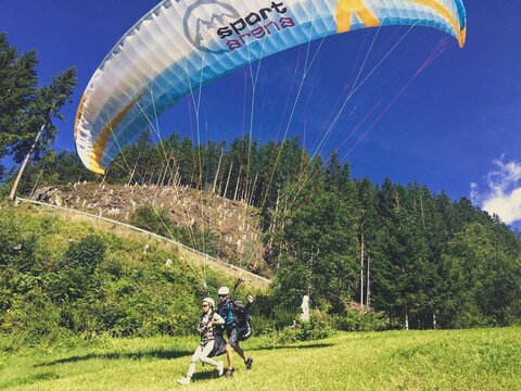 Paragleiter landet auf einer Wiese.