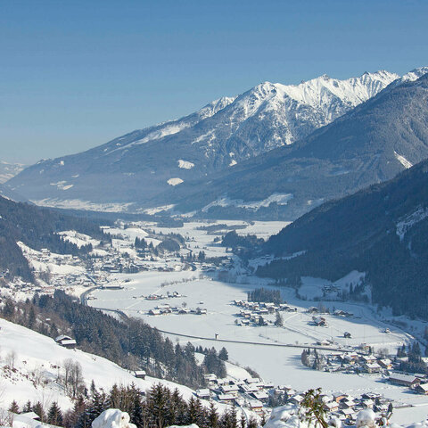 Über Wald & Königsleiten Blick auf eine traumhafte Winterlandschaft mit schneebedeckten Bäumen und einem klaren blauen Himmel