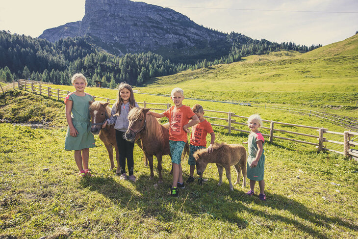 Kinder, mit Pferden, im Streichelzoo.