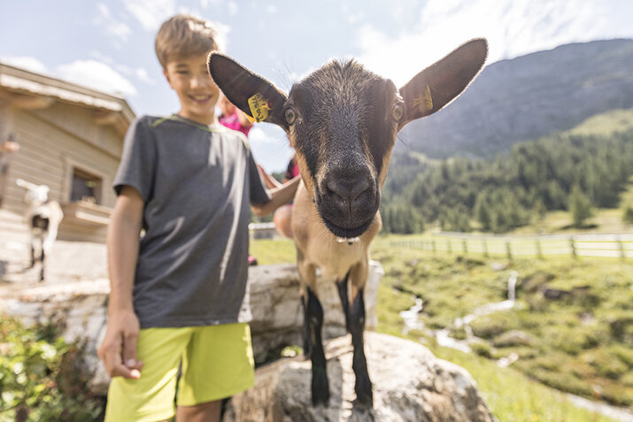 Ein Junge streichelt eine Ziege.