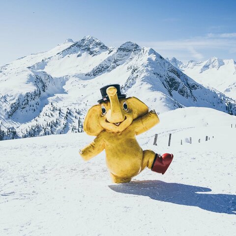 Das gelbe Maskottchen Funty steht im Schnee