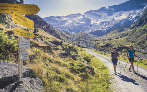 Bergsafari Wald-Königsleiten