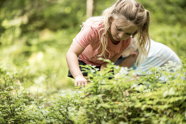 Kinder spielen inmitten der Natur