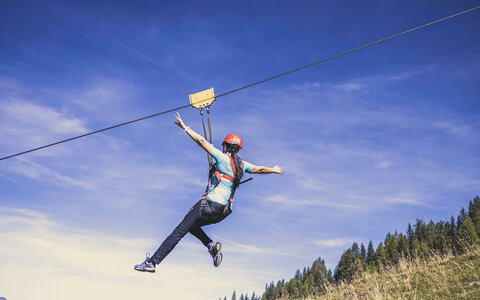 Almflieger Gerlosstein