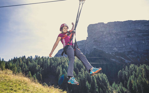 Almflieger Gerlosstein