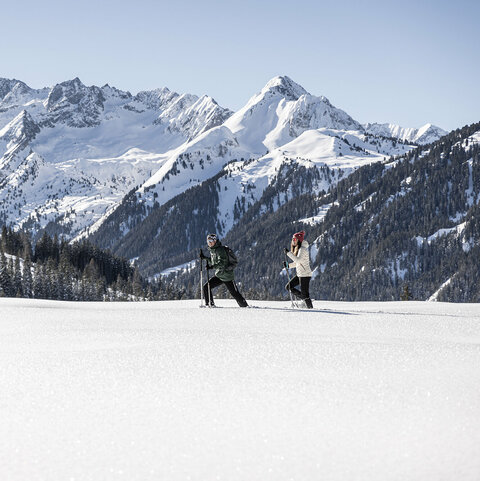 Zwei Langläufer gehen durch den Schnee