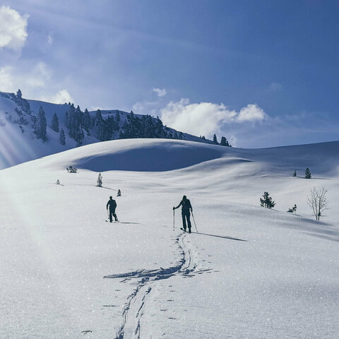 Zwei Schifahrer auf der Piste